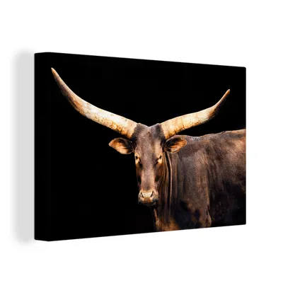 Obrázek produktu pro OneMillionCanvasses® Malba na plátně Nástěnná malba na plátně - Kráva - Watussi - rohy - 150x100cm