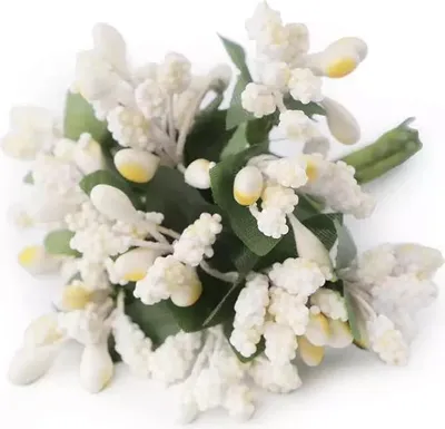 Immagine prodotto di Bouquet / porridge decorativo di crema di riso