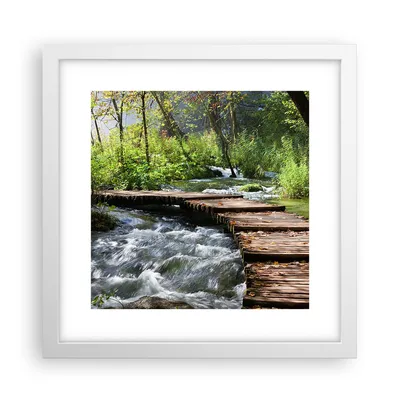 Produktbild von Gerahmtes Poster - Weißer Rahmen - Park natur grün bäume - 30x30 cm - Wand Bild - Wanddeko - Wandbilder - Kunstposter - Wandposter - Bilderrahmen - Bilder - Kunstdruck - Wandbild - P2WAC30x30-0356