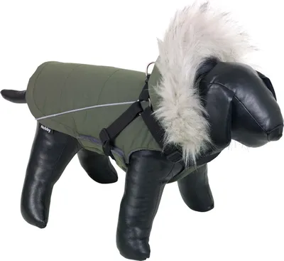 Obrázek produktu pro NOBBY Kabát pro psy "Mily", zelený, 29 cm