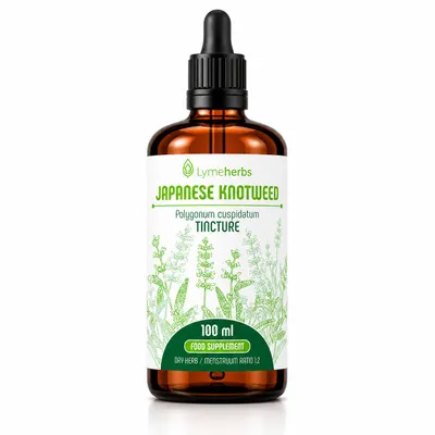 Produktbild von Japanischer Staudenknöterich 1:2 (100ml), KI-generiertes Bild