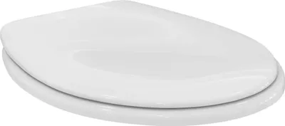 Immagine prodotto di Ideal Standard Contour 21+ Siège de WC avec charnière à tige, blanc, K792701, K792701