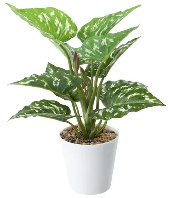 Obrázek produktu pro TRANKIELO® - Umělé rostliny v květináči, výška 31 cm - Realistická dekorace do koupelny, ložnice, kanceláře a kuchyně