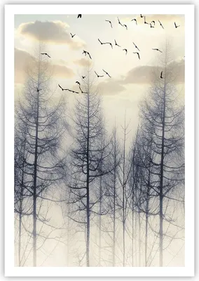 Produktbild von Poster - Poster ohne Rahmen - Bäume Vögel Himmel - 70x100 cm - Wand Bild - Wanddeko - Wandbilder - Kunstposter - Wandposter - Bilder - Kunstdruck - Wanddekoration - Wandbild - P2XPA70x100-4546