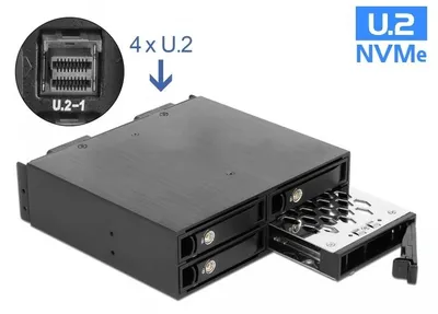 Image de DELOCK 5.25" Wechselrahmen 4 x 2.5" U.2 NVMe SSD