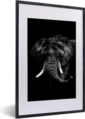 Produktbild von MuchoWow® Gerahmtes Poster Elefant vor schwarzem Hintergrund - schwarz und weiß 40x60 cm - Poster mit Schwarzem Bilderrahmen Wandposter Rahmen Foto Bilder - Poster in Rahmen