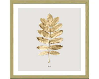 Produktbild von Gerahmtes Bild Golden Leaf II 33x33 cm