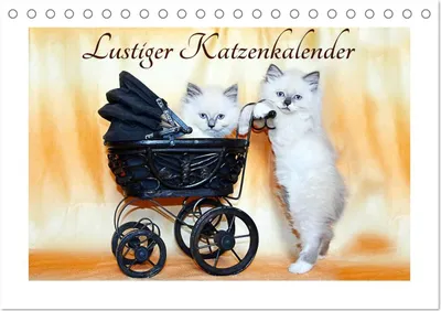 Produktbild von Lustiger Katzenkalender (Tischkalender 2026 DIN A5 quer), CALVENDO Monatskalender