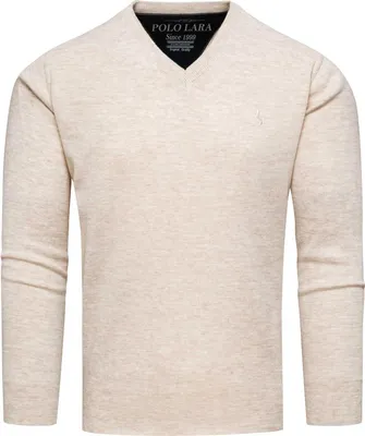 Productafbeelding van Recea, heren, klassieke trui, model Area, beige, maat L
