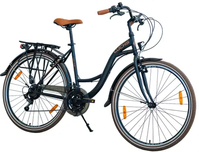Produktbild von 28 Zoll Luchs "Feline" Cityrad Hollandrad Citybike Trekkingrad  Damen Fahrrad Mädchenfahrrad 50RH