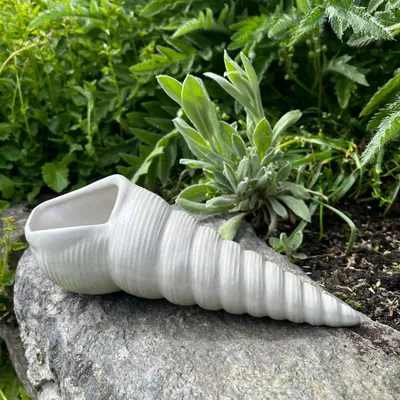 Produktbild von Betonfigur Muschel - längliche Muschelfigur mit viel Charme und Charakter