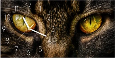 Produktbild von Wanduhr aus Glas mit Motiv Katzenaugencloseup- 60 x 30 cm - inkl. Aufhängesystem