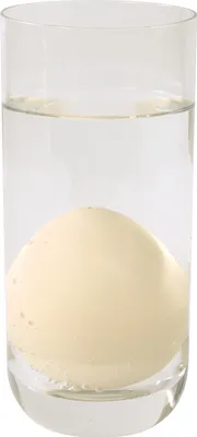 Produktbild von EDUPLAY 130219 Wachsende Eier Dinos (Modell zufällig)