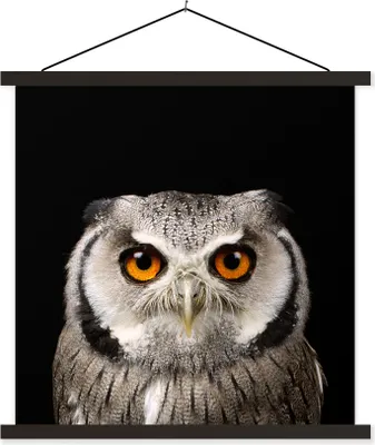 Produktbild von MuchoWow® Textilposter Porträt Eule 40x40 cm mit schwarzem Rahmen - Fotos