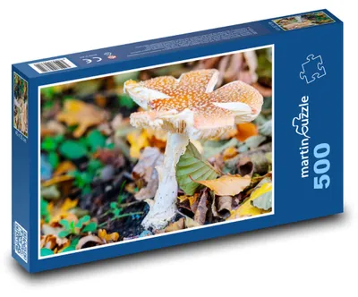 Produktbild von martinpuzzle - Puzzle 500 Teile - Wulstlinge