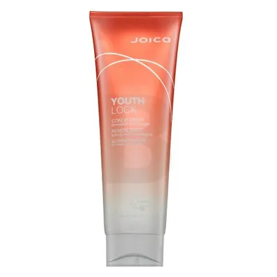 Zdjęcie produktu dla Joico Youth Lock Conditioner odżywka zapewniająca ochronę i połysk 250 ml