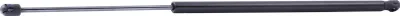 Produktbild von RIDEX 219G1061 Gasfeder Heckklappendämpfer für RENAULT Clio III Schrägheck (BR0/1, CR0/1) 663,5mm