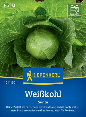 Produktbild von Kiepenkerl Weißkohlsamen Sunta F1 Brassica oleracea capitata alba 25 Pflanzen