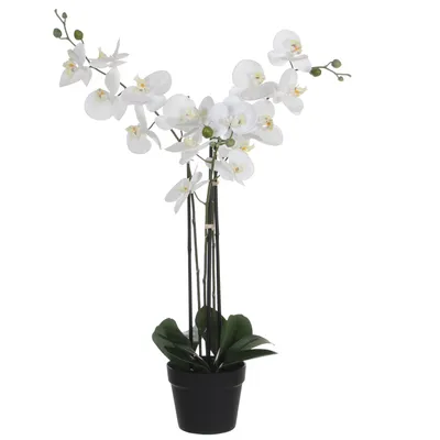 Produktbild von Mica Decorations Phalaenopsis Kunstpflanze - L65 x B45 x H75 cm - Grün