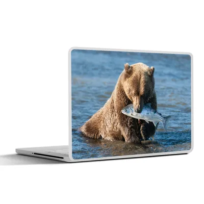 Produktbild von MuchoWow® Laptop Aufkleber Sticker Cover Bär - Braun - Fisch 36.5x27.5 cm - Laptop-Sticker