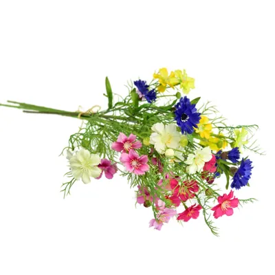 Image de Fleurs des champs, mélange de couleurs, 70 cm