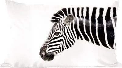 Produktbild von MuchoWow® Zierkissen Sofakissen Wohnzimmer Dekokissen 50x30 cm Zebra - Tiere - Weiß - Wohnzimmerdekoration - Polster mit Photo