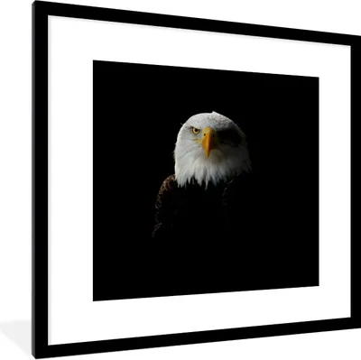 Produktbild von MuchoWow® Gerahmtes Poster Adler - Vogel - Schwarz 40x40 cm - Poster mit Schwarzem Bilderrahmen Wandposter Rahmen Foto Bilder - Poster - Plakat im Rahmen