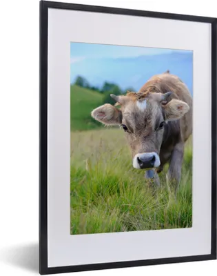 Produktbild von MuchoWow® MuchoWow® Gerahmtes Poster Kuh - Braun - Landschaft 30x40 cm - Poster mit zchwarzem Bilderrahmen - Wandposter Schlafzimmer