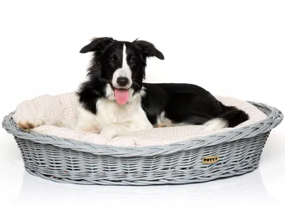 Produktbild von Handbemalter grauer Weidenkorb Wikikorb mit Baumwoll-Hundebett – Beige mit weißen Punkten Polka Dots – Waschbar & Weich – DOTTY