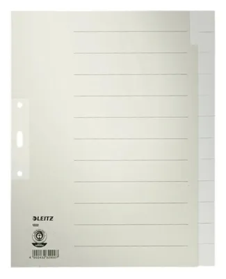 Produktbild von LEITZ Tauenpapier Register blanko A4 Überbreite 12-teilig grau