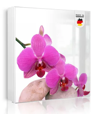 Produktbild von banjado Schlüsselkasten aus Metall, 30x30cm groß mit 32 Haken, als Magnettafel nutzbar, Korpus weiß, Anschlag links, Orchidee [SKGW2 10086]