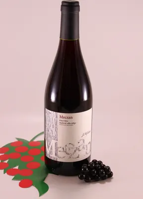 Produktbild von Blauburgunder Meczan - 2024 - Weingut Hofstätter