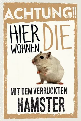 Produktbild von vianmo Holzschild 18x12 cm Tiere Achtung hier Hamster