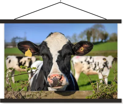 Produktbild von MuchoWow® Textilposter Kuh - Zaun - Gras - Tiere 150x100 cm mit schwarzem Rahmen - Schlafzimmer