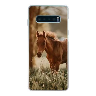 Produktbild von MuchoWow® Handyhülle Schutzhülle Hülle für Samsung Galaxy S10 Plus Pferd - Licht - Wiese Silikon Softcase Handy Hülle - Schutzhülle
