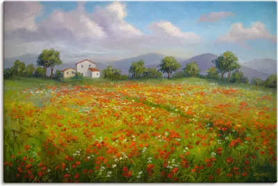 Produktbild von ARTland Leinwandbild Mohnfeld Größe: 30x20 cm