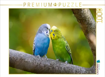 Produktbild von CALVENDO Puzzle Grün und blau | 1000 Teile Lege-Größe 64x48cm Foto-Puzzle für glückliche Stunden