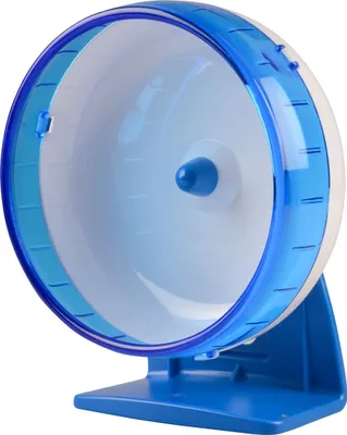 Image de Duvo+ Roue d'exercice en plastique bleu/blanc, taille : M