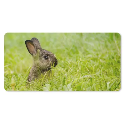 Produktbild von MuchoWow® Schreibtischunterlage Kaninchen - Baby - Gras 80x40 cm - XXL Mauspad - Gaming Mauspad