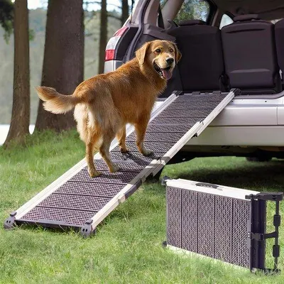 Obrázok produktu pre Stúpačka pre psov do auta, stabilná, odrazová, 90 kg, sivá