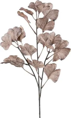 Produktbild von artplants.de Deko Zweig Ginkgo LIMVAR, braun, 60cm - Künstlicher Gingkozweig