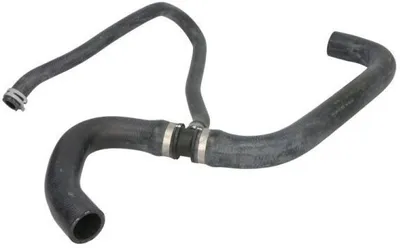 Produktbild von THERMOTEC Kühlerschlauch Wasserschlauch für RENAULT CLIO II (BB0/1/2, CB0/1/2) DWR029TT