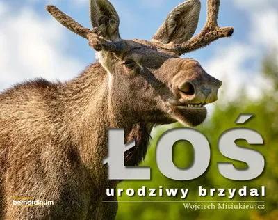 Produktbild von Album fotograficzny Łoś urodziwy brzydal - Wojciech Misiukiewicz