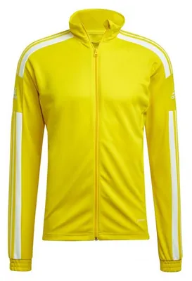 Obrázek produktu pro Adidas Squadra 21, tréninková mikina, model GP6465, velikost: L