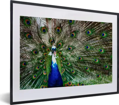 Produktbild von MuchoWow® Gerahmtes Poster Pfau - Federn - Weiß - Blau 40x30 cm - Poster mit Schwarzem Bilderrahmen Wandposter Rahmen Foto Bilder - Bilderrahmen - Poster im Rahmen
