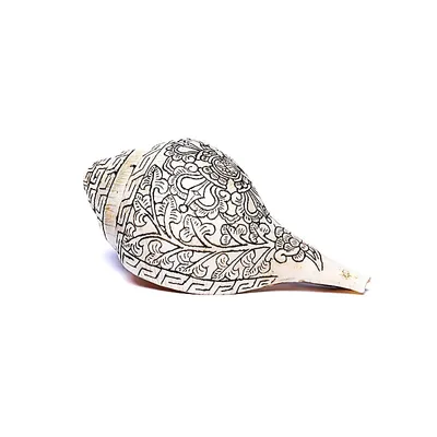 Image de Coquille Rituelle Avec Double Coquille Dorje Puja - ±18 Cm