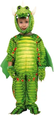 Productafbeelding van Carnaval Kostuum voor Kinderen, Draken Thema
