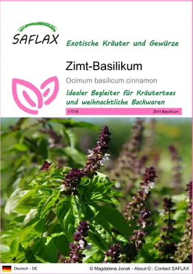 Produktbild von SAFLAX - Kräuter - Zimt-Basilikum - 200 Samen - Ocimum basilicum