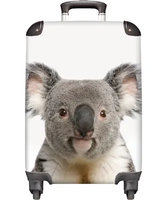 Obrázek produktu pro NoBoringSuitcases.com® Kufr Příruční zavazadlo Trolley Rolling suitcase Malý cestovní kufr na 4 kolečkách - Koala - Close-up - Kids - Cabin Size < 55x40x23 cm & 55x40x20 cm - Foto kufr - Cabin suitcase - Board luggage - Kids suitcase - Kids trolley.