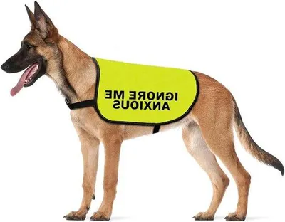 Zdjęcie produktu dla Kamizelka ochronna dla psów bojaźliwych, rozmiar L, koszulka ochronna
